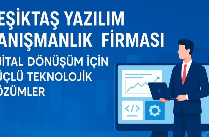 Beşiktaş Yazılım Danışmanlık Firması