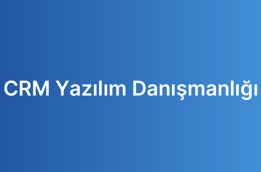 CRM Yazılım Danışmanlığı