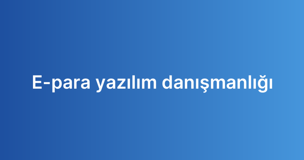 E-para yazılım danışmanlığı