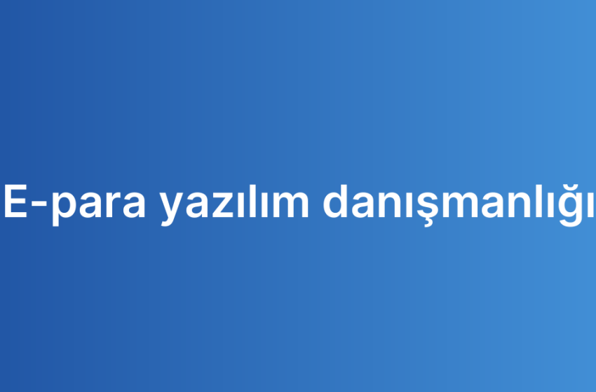 E-para yazılım danışmanlığı