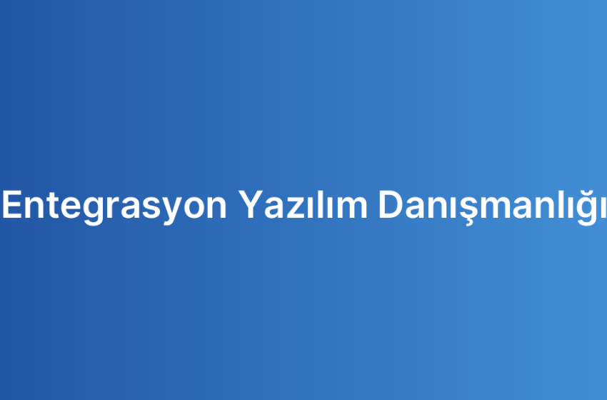 Entegrasyon Yazılım Danışmanlığı