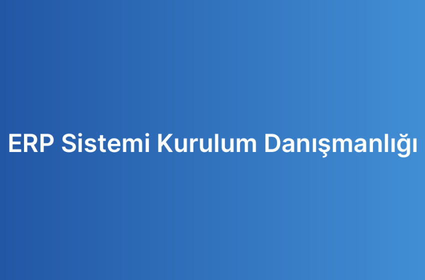 ERP Sistemi Kurulum Danışmanlığı