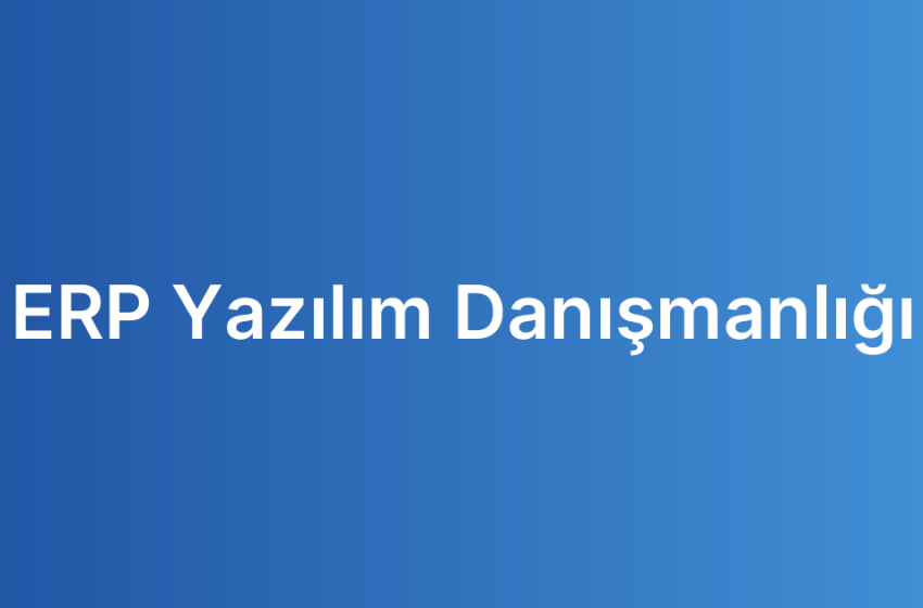 ERP Yazılım Danışmanlığı