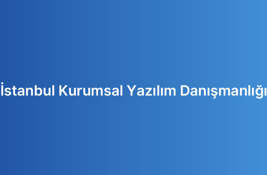 İstanbul Kurumsal Yazılım Danışmanlığı