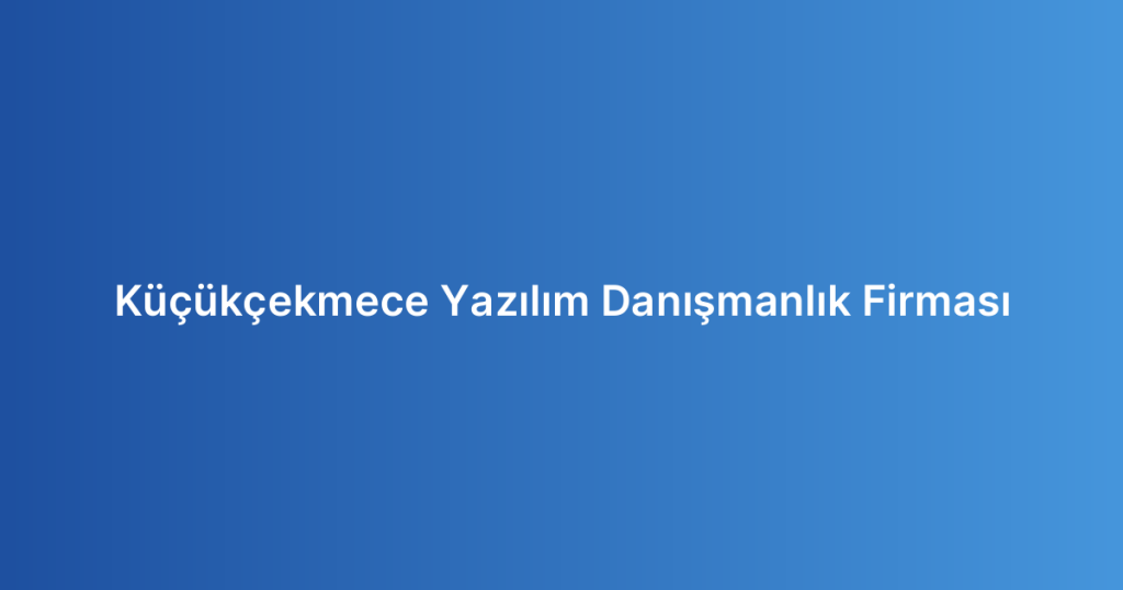 Küçükçekmece Yazılım Danışmanlık Firması