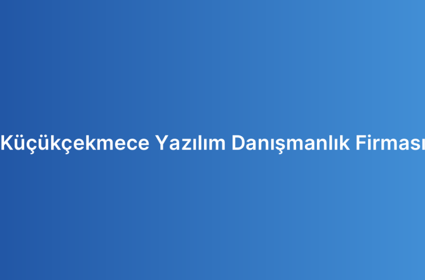 Küçükçekmece Yazılım Danışmanlık Firması