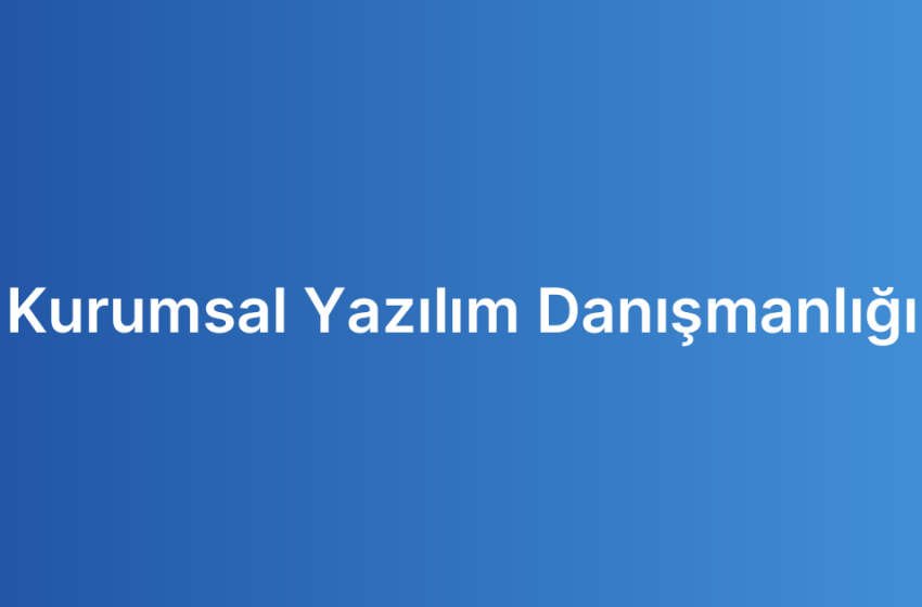 Kurumsal Yazılım Danışmanlığı