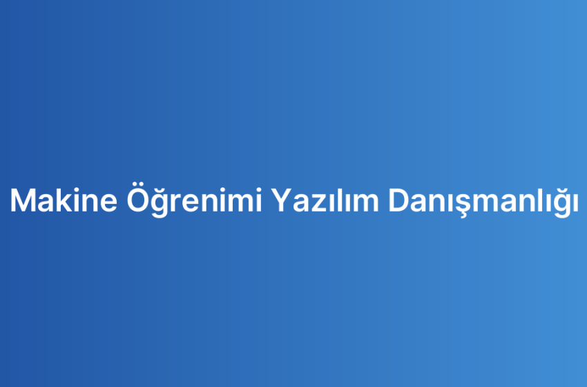 Makine Öğrenimi Yazılım Danışmanlığı