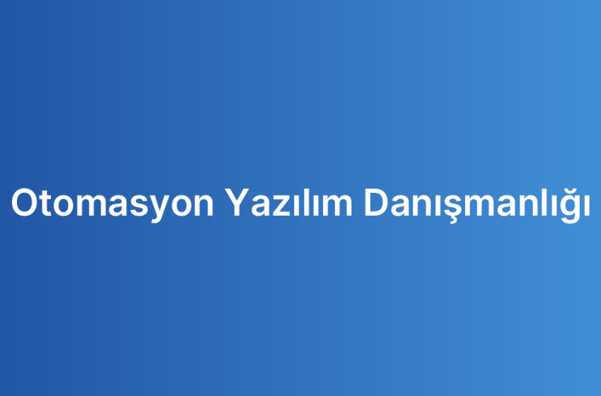 Otomasyon Yazılım Danışmanlığı