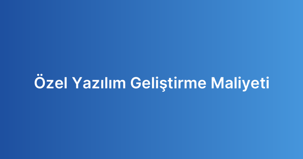 Özel Yazılım Geliştirme Maliyeti