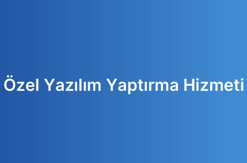 Özel Yazılım Yaptırma Hizmeti