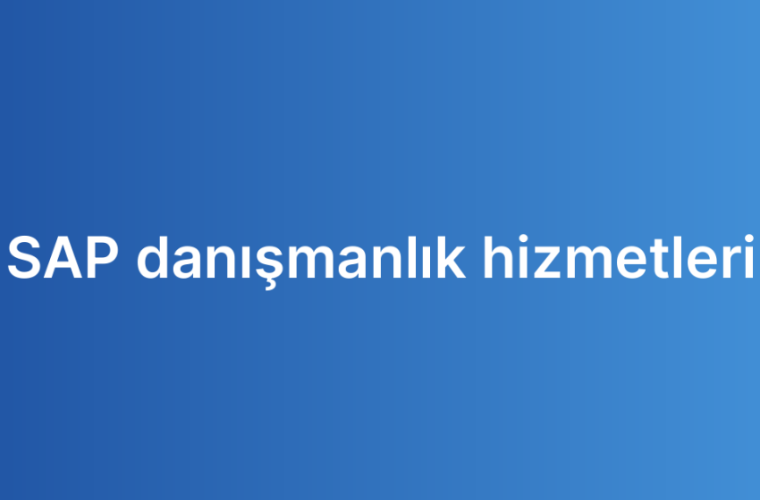 SAP danışmanlık hizmetleri