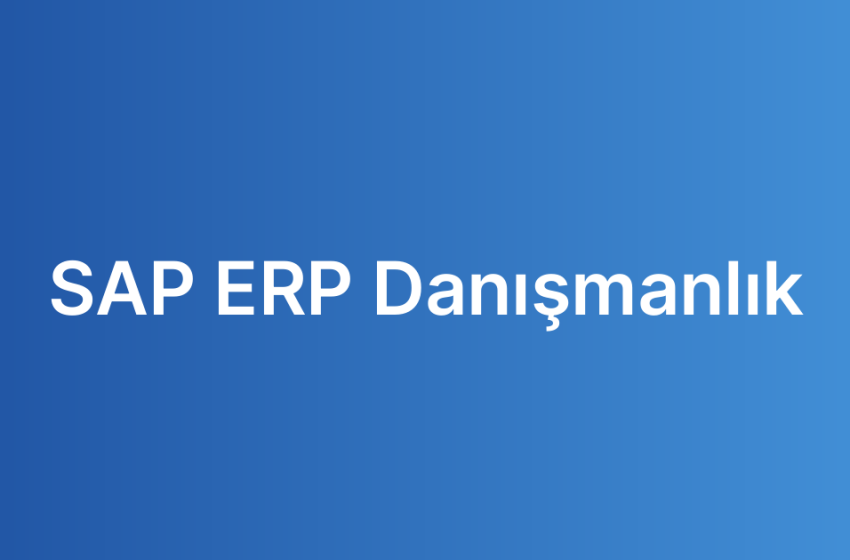 SAP ERP Danışmanlık