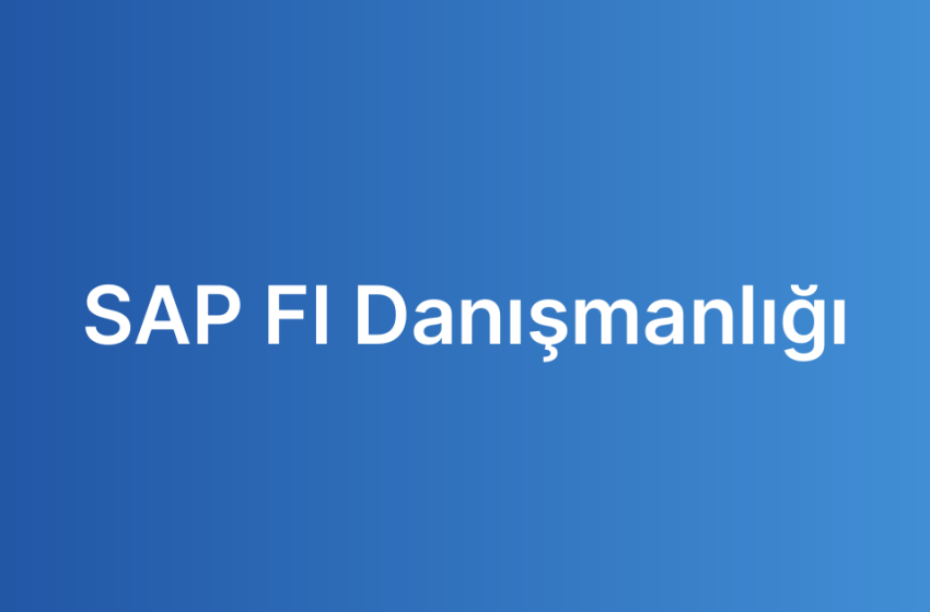 SAP FI Danışmanlığı
