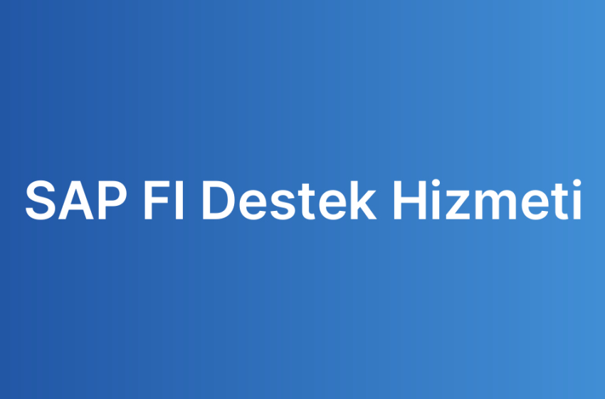 SAP FI Destek Hizmeti