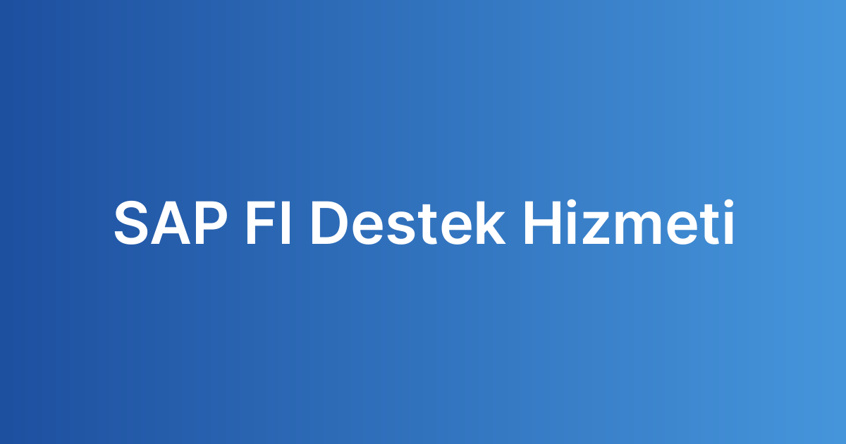 SAP FI Destek Hizmeti