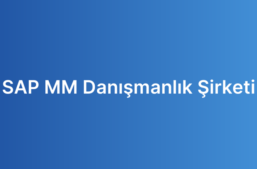 SAP MM Danışmanlık Şirketi