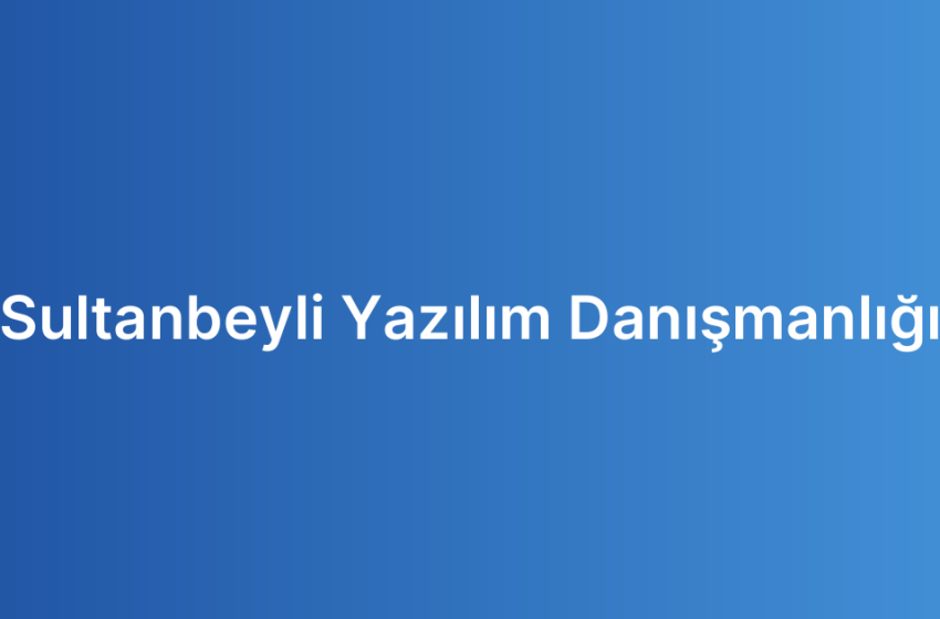 Sultanbeyli Yazılım Danışmanlığı