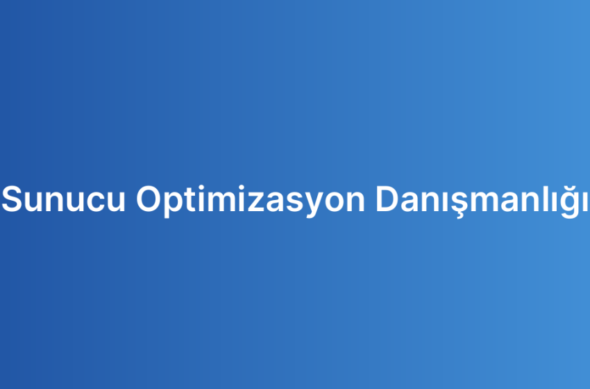 Sunucu Optimizasyon Danışmanlığı