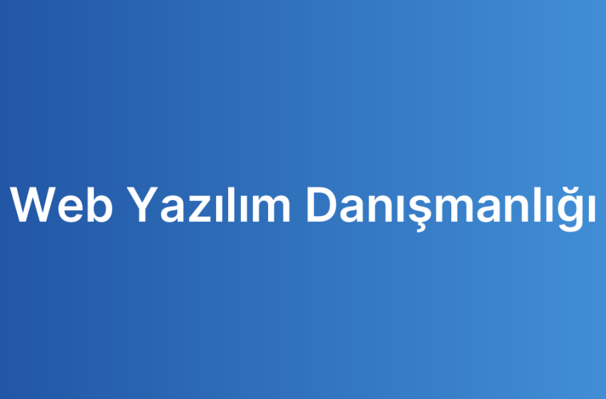 Web Yazılım Danışmanlığı
