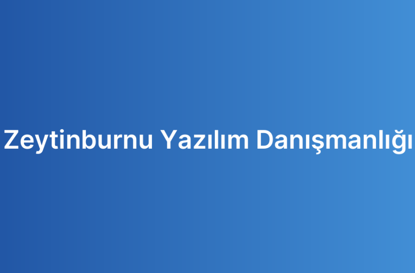 Zeytinburnu Yazılım Danışmanlığı