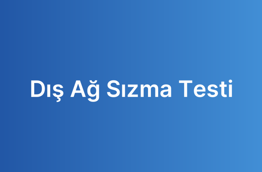 Dış Ağ Sızma Testi