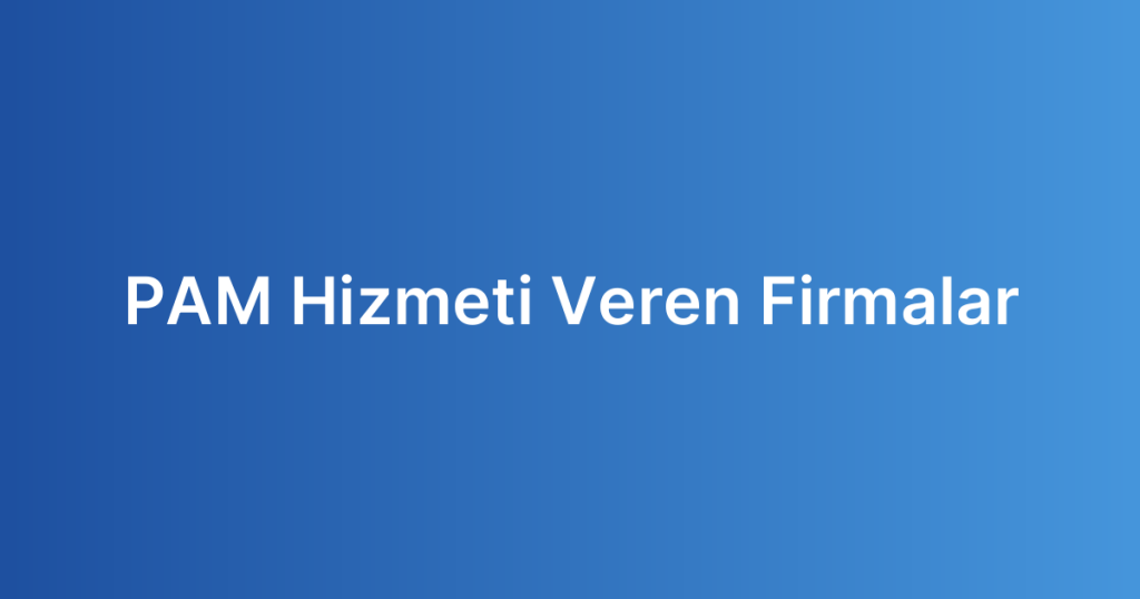 PAM Hizmeti Veren Firmalar