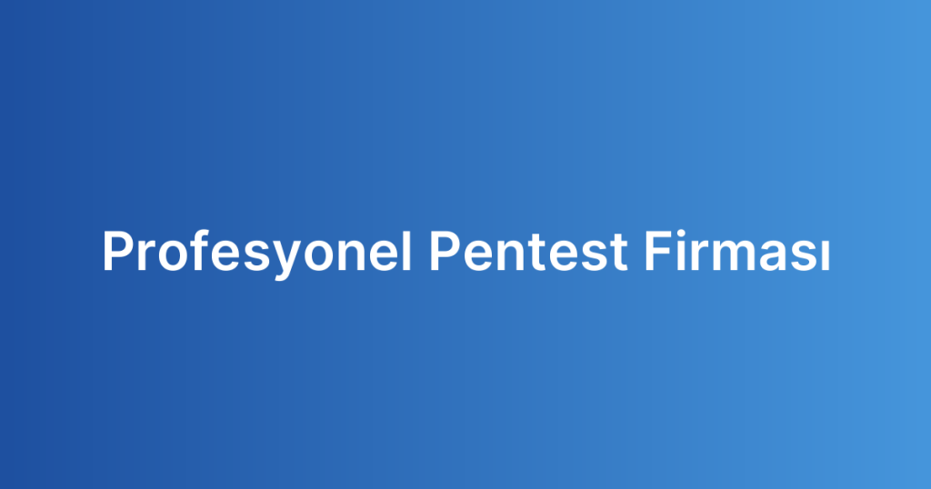 Profesyonel Pentest Firması