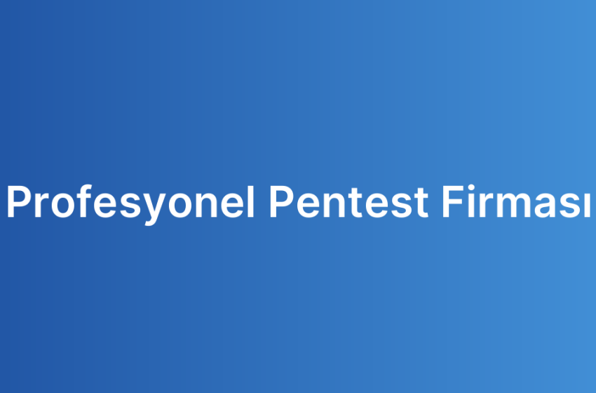 Profesyonel Pentest Firması