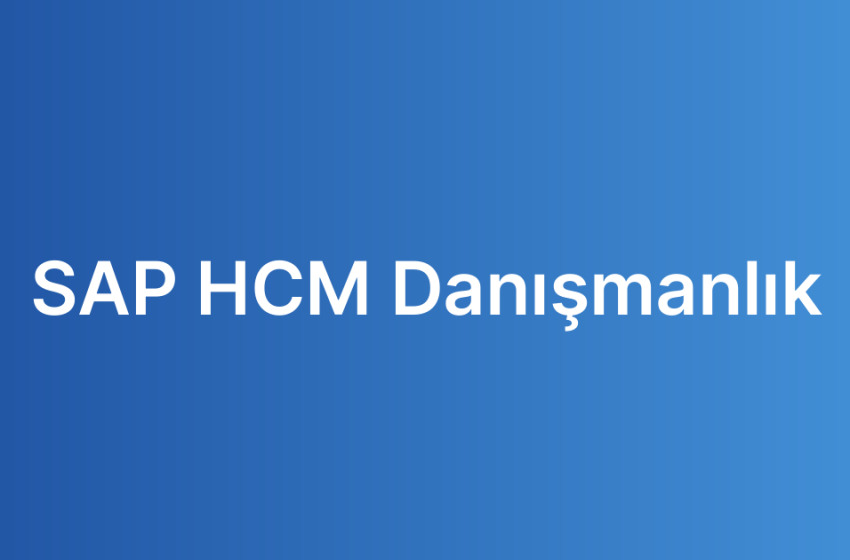 SAP HCM Danışmanlık