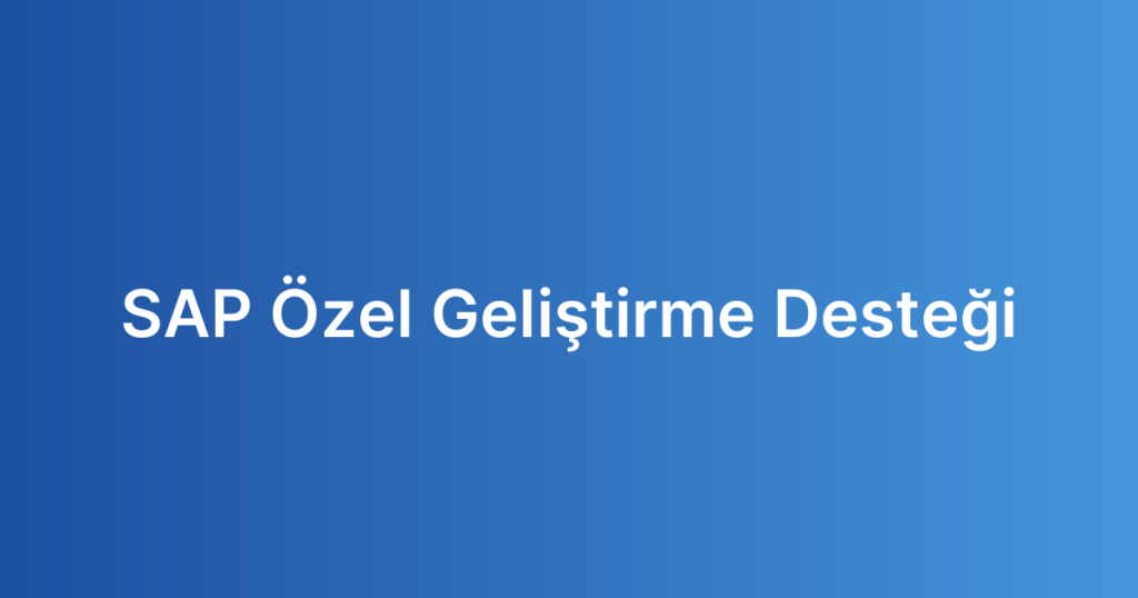 SAP Özel Geliştirme Desteği