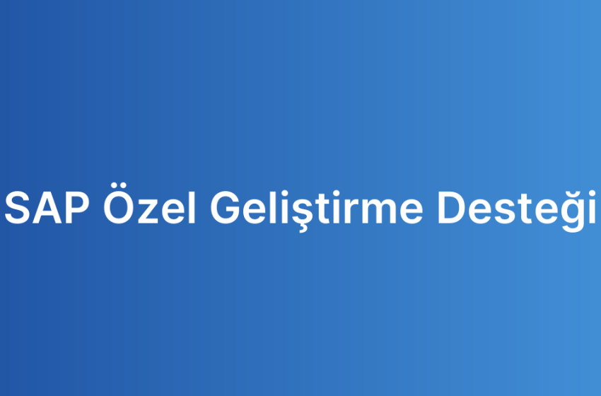 SAP Özel Geliştirme Desteği