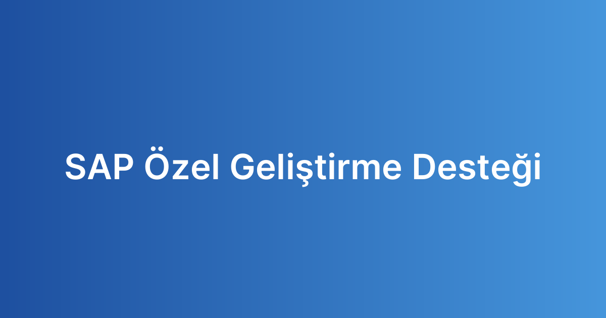 SAP Özel Geliştirme Desteği