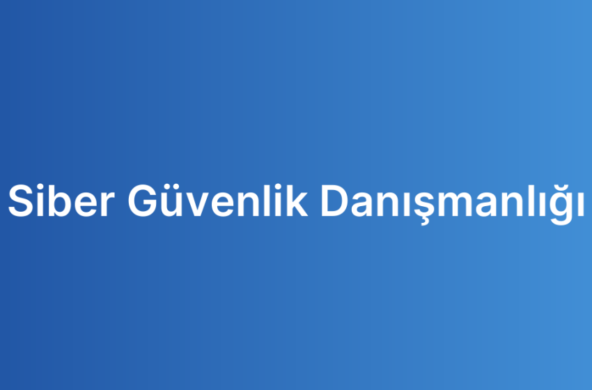 Siber Güvenlik Danışmanlığı