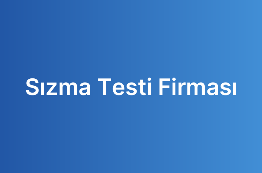 Sızma Testi Firması