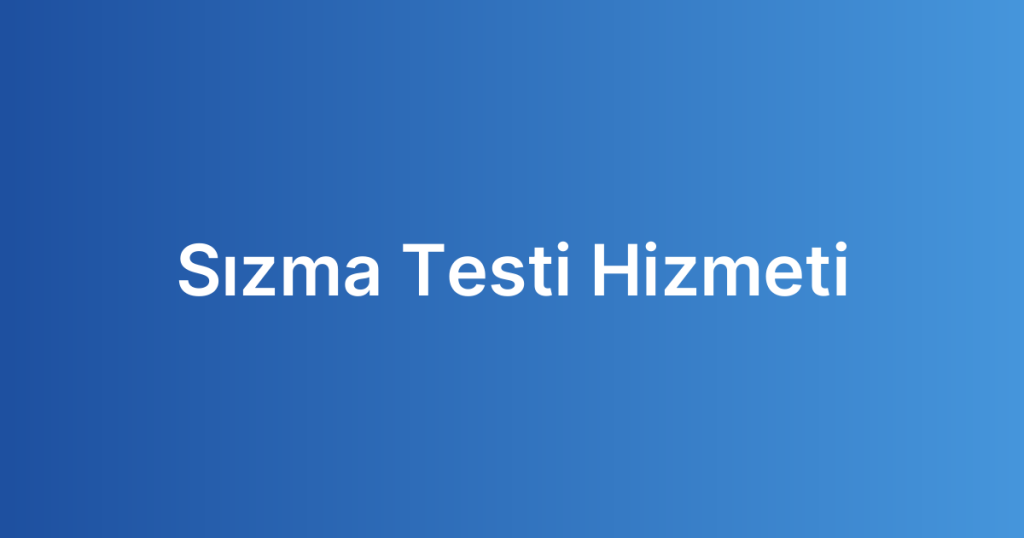 Sızma Testi Hizmeti