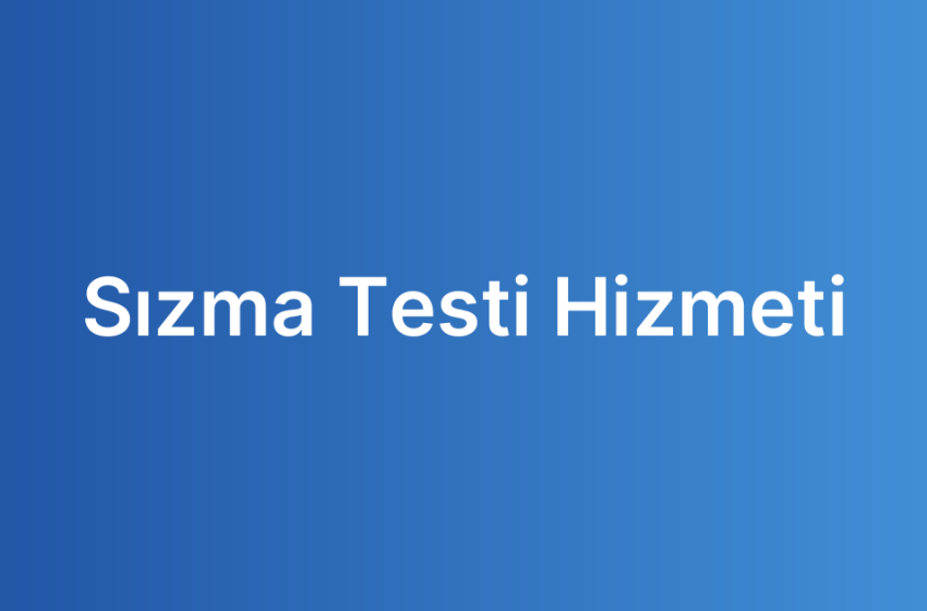 Sızma Testi Hizmeti