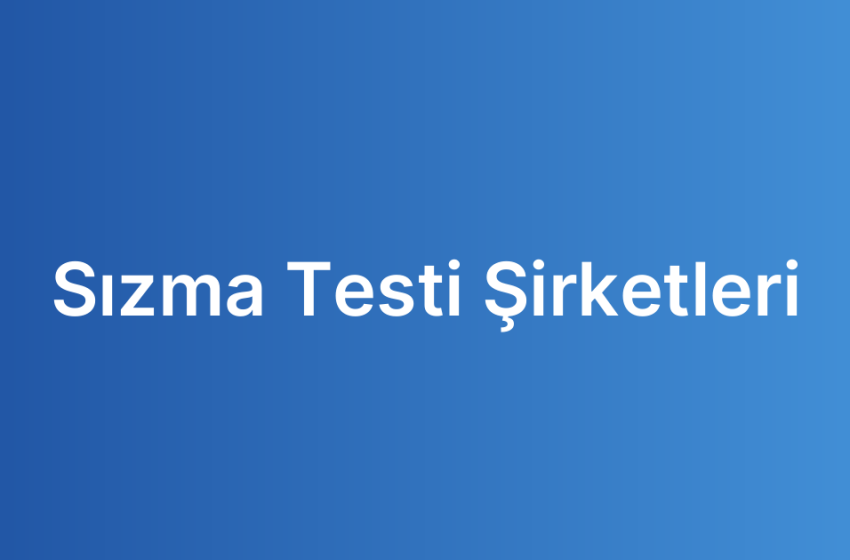 Sızma Testi Şirketleri