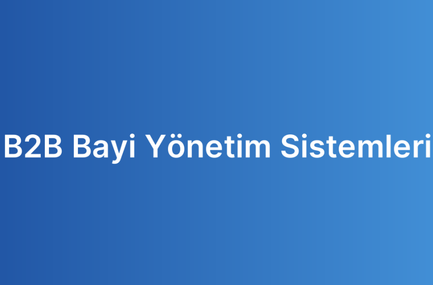 B2B Bayi Yönetim Sistemleri