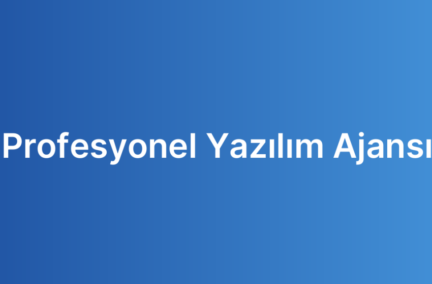 Profesyonel Yazılım Ajansı