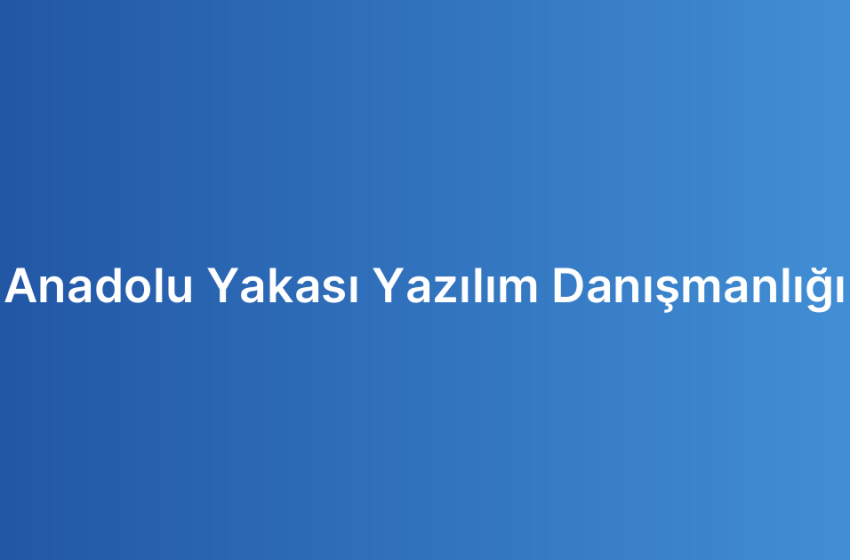 Anadolu Yakası Yazılım Danışmanlığı