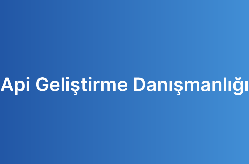 Api Geliştirme Danışmanlığı