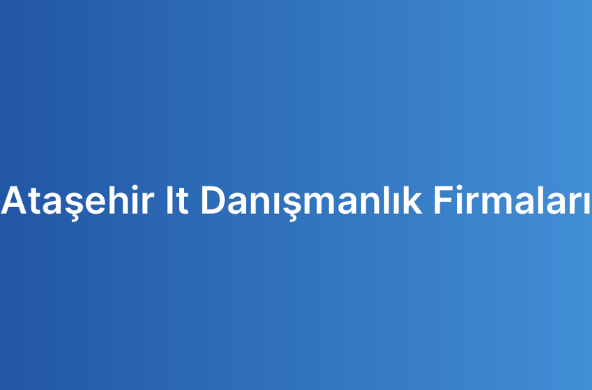 Ataşehir It Danışmanlık Firmaları