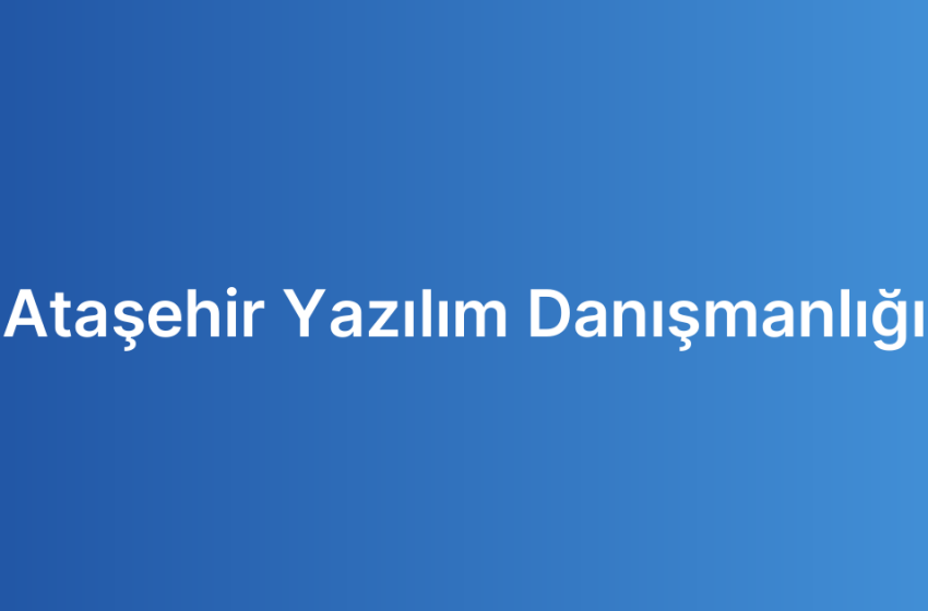 Ataşehir Yazılım Danışmanlığı