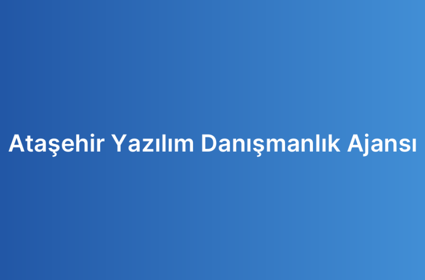 Ataşehir Yazılım Danışmanlık Ajansı
