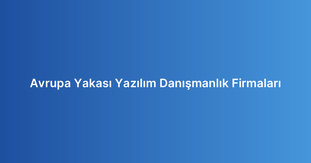 Avrupa Yakası Yazılım Danışmanlık Firmaları