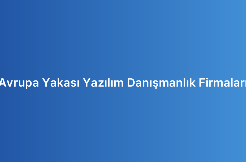 Avrupa Yakası Yazılım Danışmanlık Firmaları