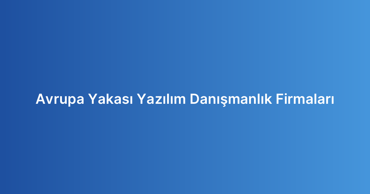 Avrupa Yakası Yazılım Danışmanlık Firmaları