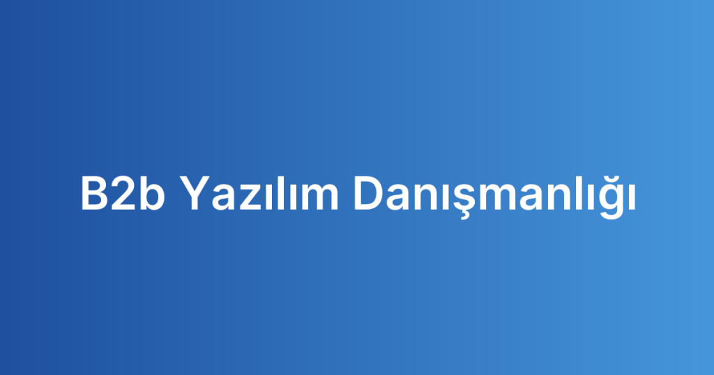 B2b Yazılım Danışmanlığı