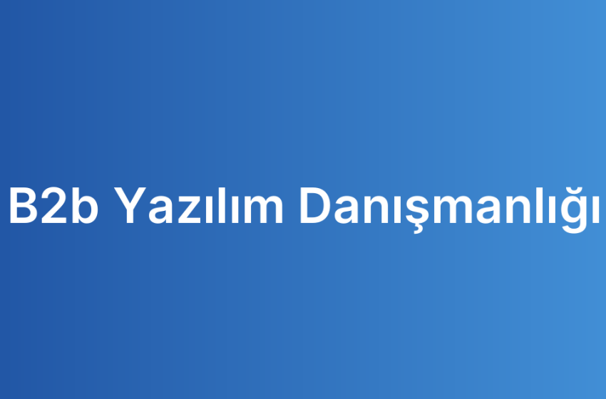 B2b Yazılım Danışmanlığı